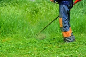 débroussaillage de terrain et fauchage de parcelle