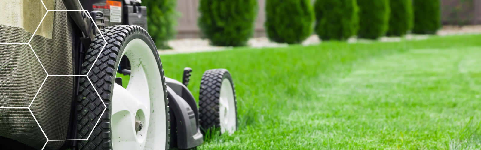 Entretien de jardin, tonte , taille de haies, débroussaillage sur Nantes en Loire-Atlantique