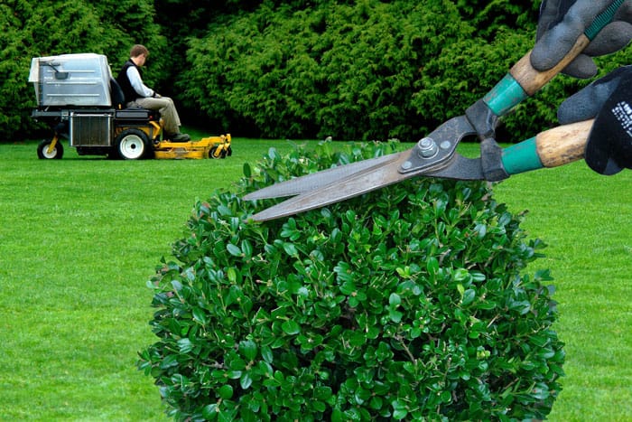 entretien de jardin et d'espaces verts pour entreprise