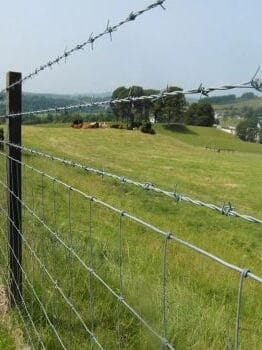 cloture-barbeles-1 entreprise de pose de barbelés