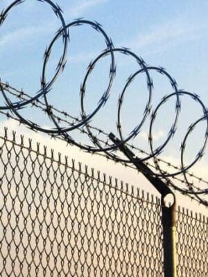 concertina-sur-grillage pose de concertina