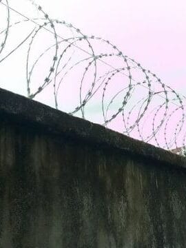 pose-concertina spécialiste de la sécurisation