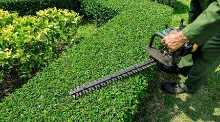 jardinier taille des haies pres de chez vous