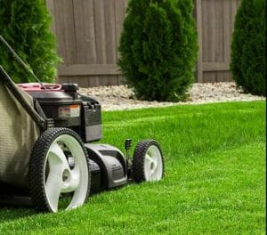 tonte de jardin