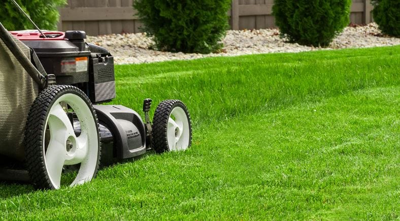 entretien de jardin pour entreprise