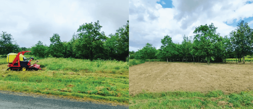 fauchage par cs paysage