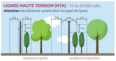 regle sur les arbres proches des lignes électriques