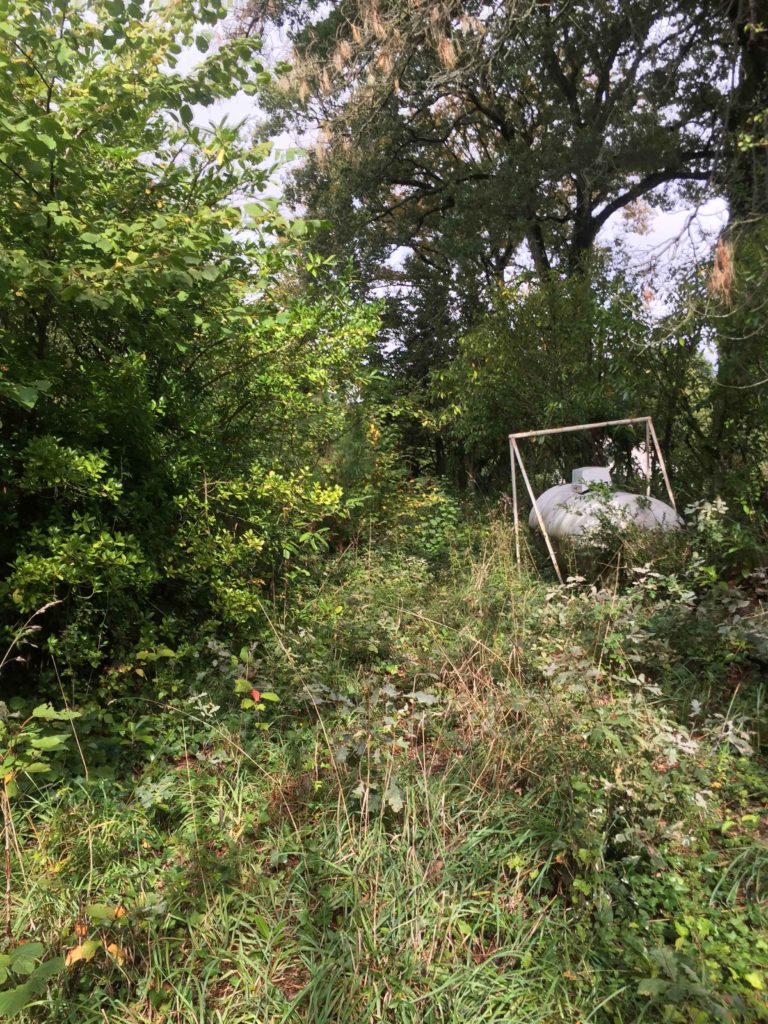 Fauchage terrain et prairie Loire‑Atlantique