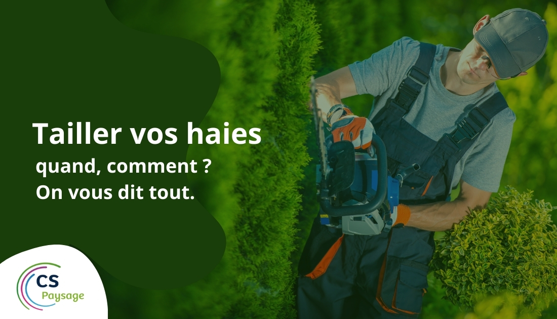 taille de haie