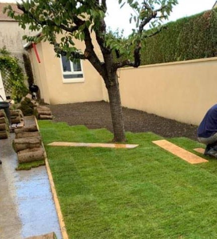 installation de gazon
